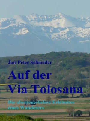 cover image of Auf der Via Tolosana